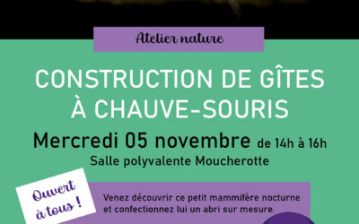 Atelier fabrication – gîtes à chauve-souris
