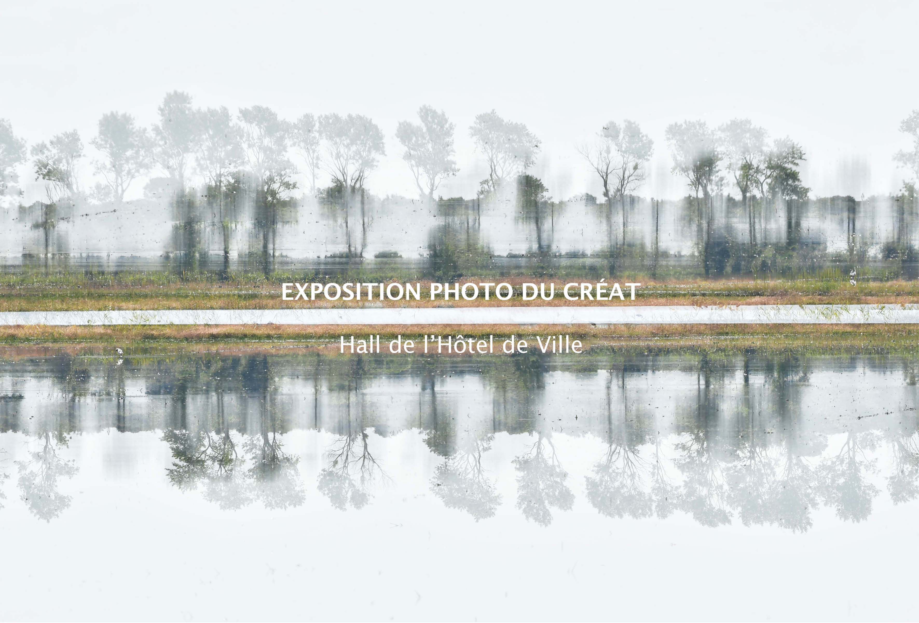 Photo de l'exposition, représentant des arbres et leurs reflets dans un lac lors d'un temps brumeux