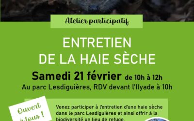 Atelier participatif – entretien de la haie sèche