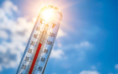 CANICULE