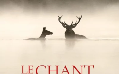 Film – Le chant des forêts
