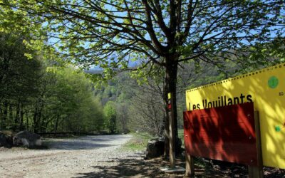 RÉOUVERTURE DES BOIS DES VOUILLANTS LE 4 AOÛT