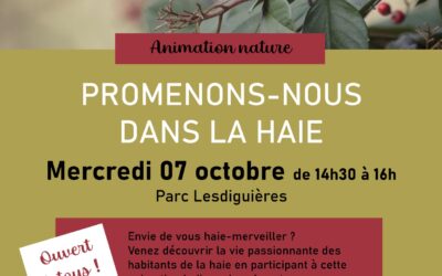 Promenons-nous dans la Haie