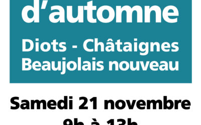 Matinée d’automne