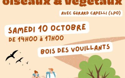 Balade d’observation des oiseaux et végétaux